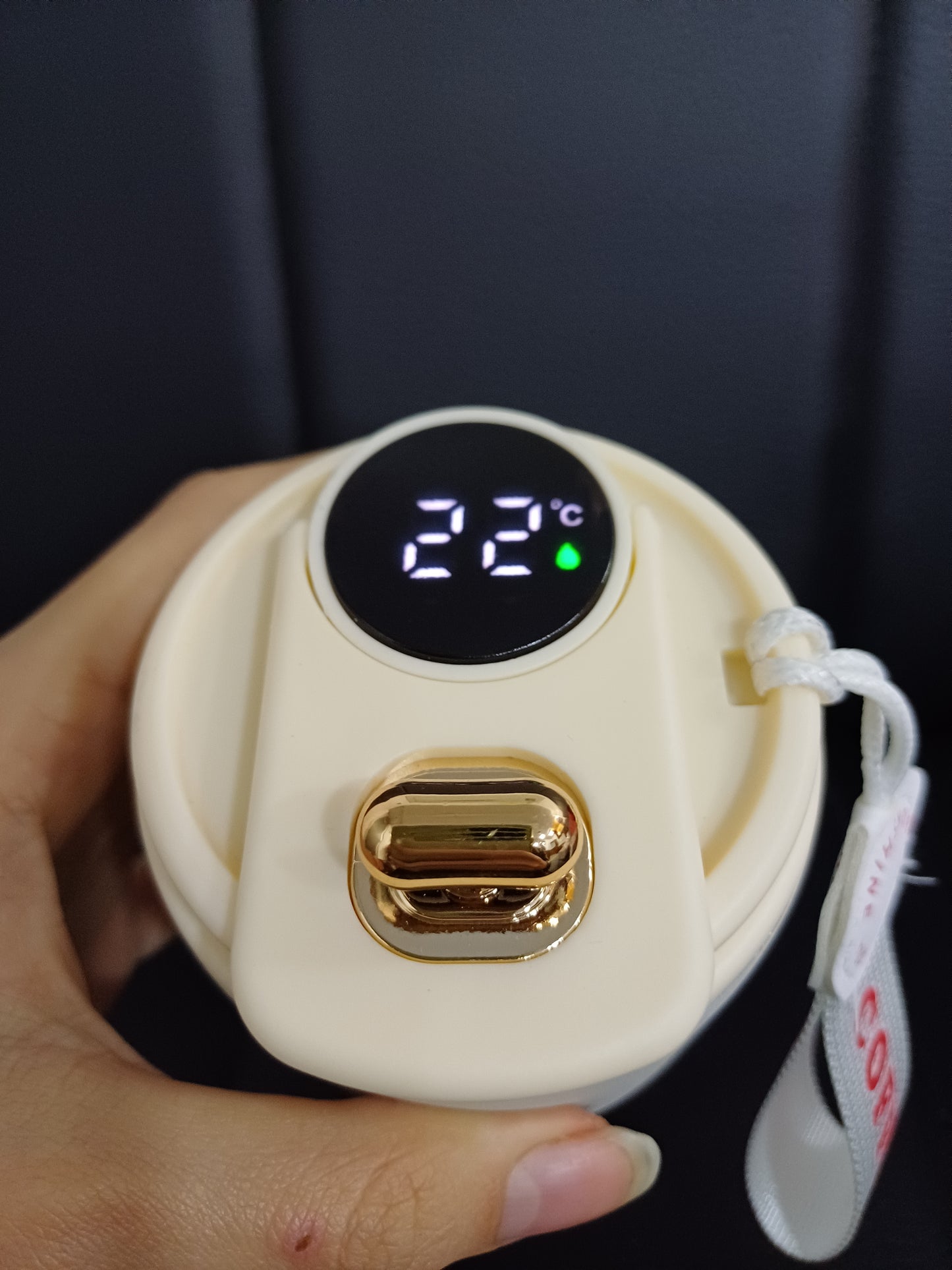 TERMO INTELIGENTE / PANTALLA DIGITAL DE TEMPERATURA